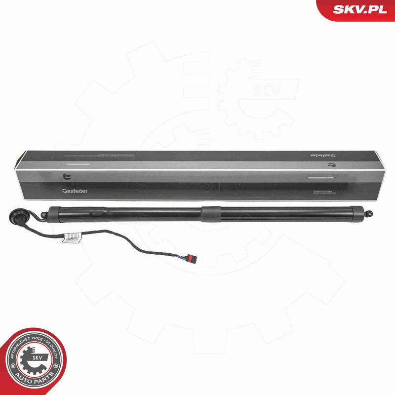 ESEN SKV 52SKV191 - Electric Motor, tailgate