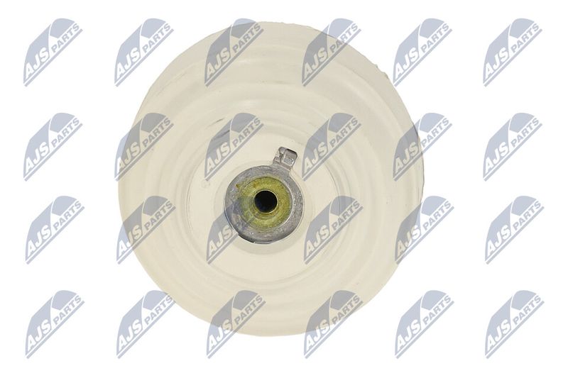 Paigutus, Mootor, NTY ZPS-ME-108