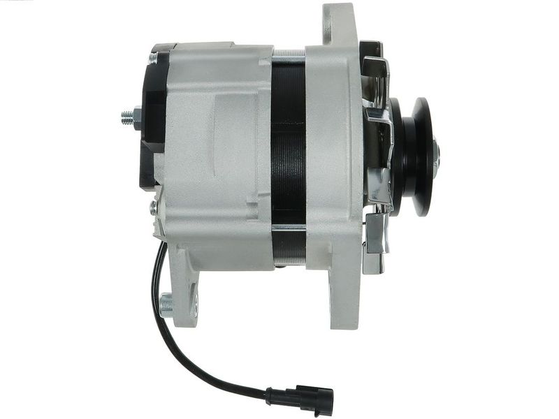 321049.JPG
