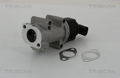 TRISCAN AGR-szelep 8813 10005