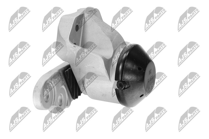 Paigutus, Mootor, NTY ZPS-FR-053