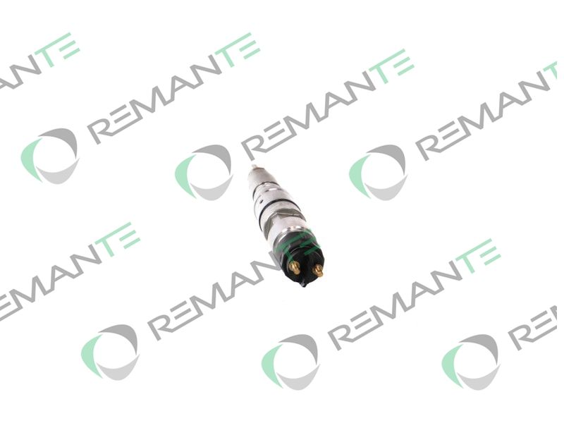 REMANTE 002-003-001379R Purkštuko antgalis