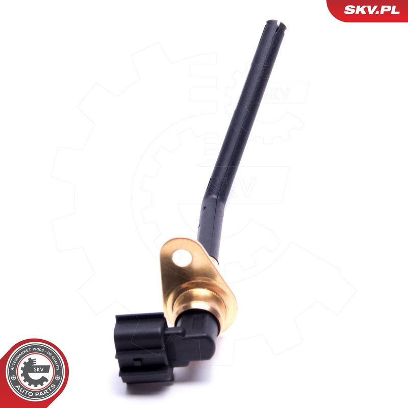 Andur, Mootoriõlitase, ESEN SKV 17SKV751