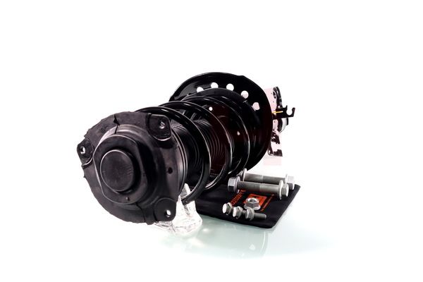 Vedruamort, GH GH-352240C01