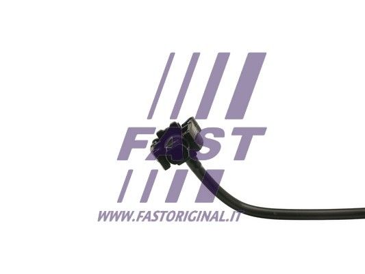 FT61158_3_1.JPG