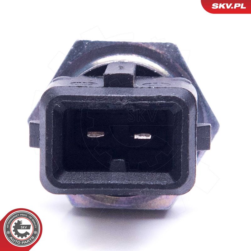 Andur, sisendõhu temperatuur, ESEN SKV 17SKV686