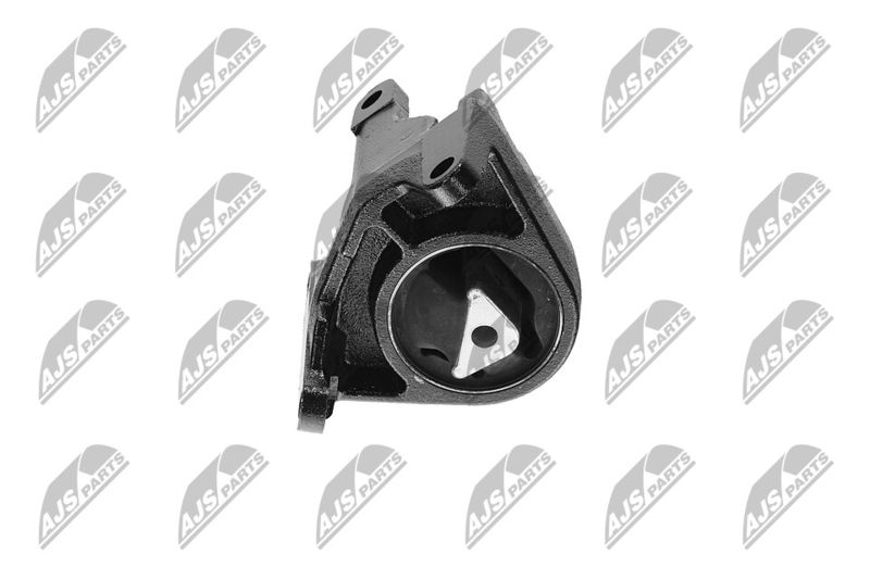 Paigutus, Mootor, NTY ZPS-CH-087