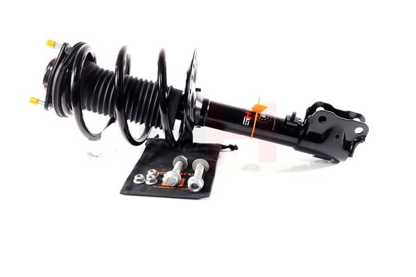 Vedruamort, GH GH-353057C01