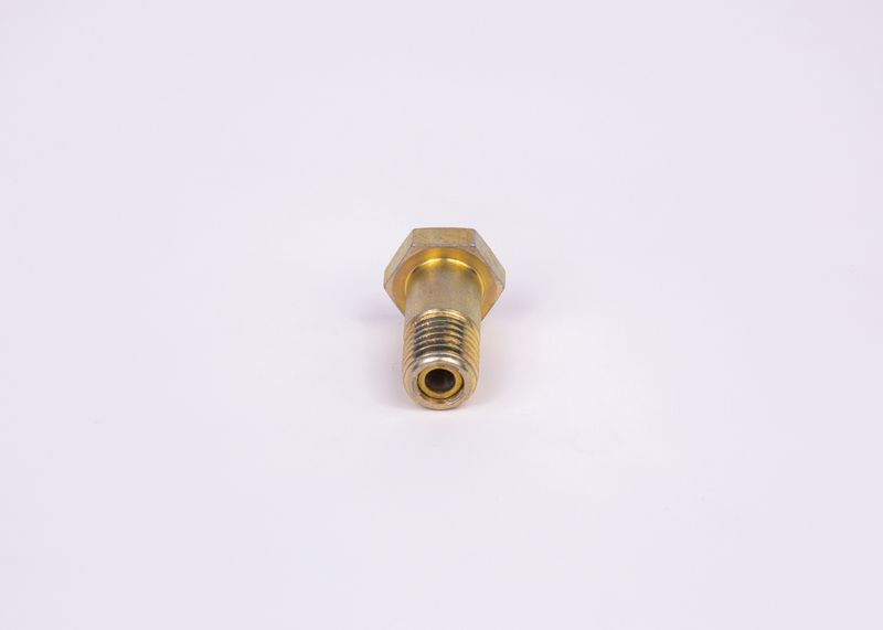 Surub F 002 D13 579 BOSCH