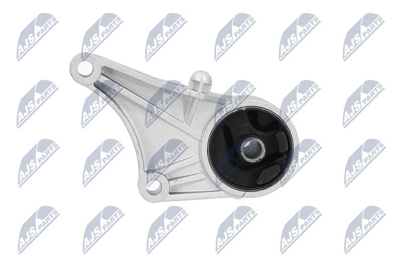 Paigutus, Mootor, NTY ZPS-PL-012