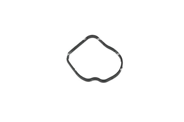 NRF 725258 Thermostat, coolant
