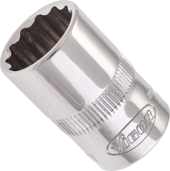 Padrun, VIGOR V7538-13