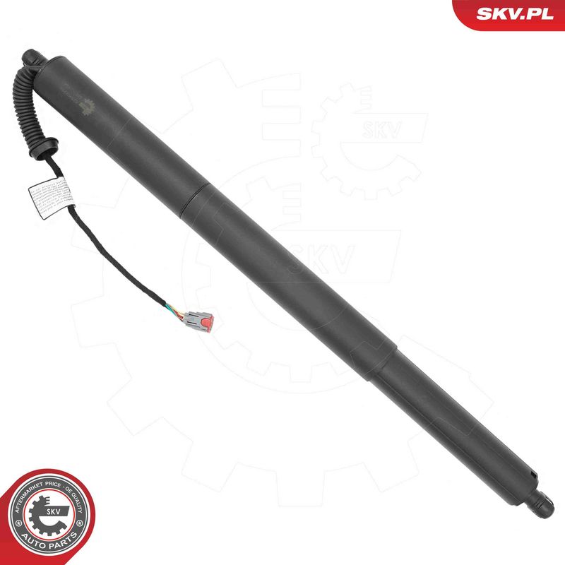 ESEN SKV 52SKV289 Electric Motor, tailgate
