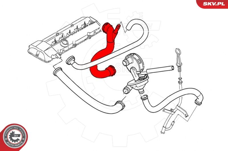 Шланг, продування картера, Skv Germany 43SKV333