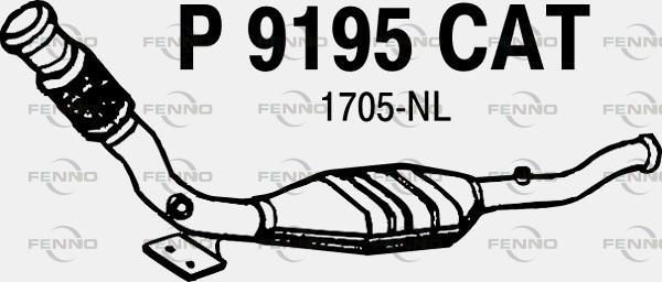 P9195CAT.JPG