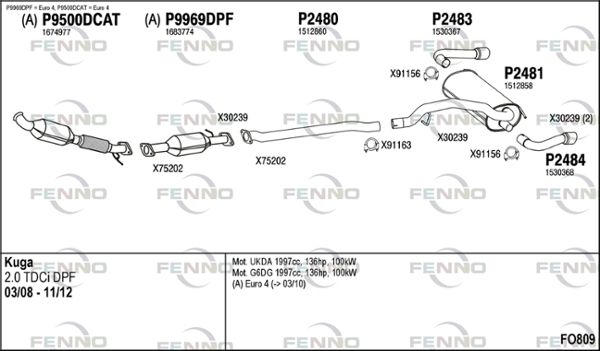 FO809.JPG
