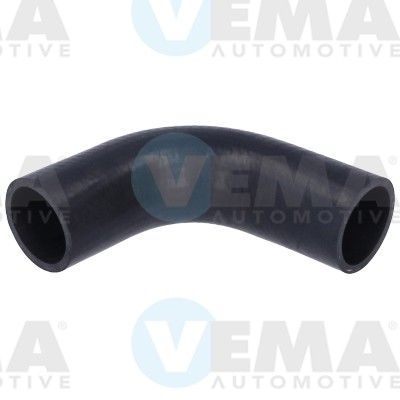 VE55950.JPG