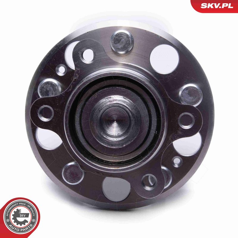 ESEN SKV 29SKV601 Wheel Bearing Kit