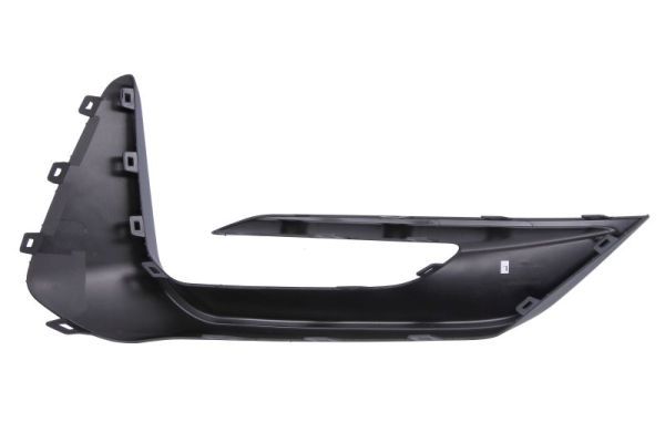 BLIC 6502-07-2538921P Trim/Protection Strip, bumper