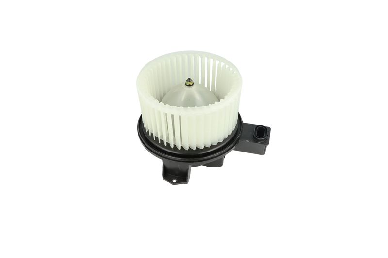 Salongipuhur, NRF 34345