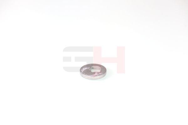 caster shim, sillatala, GH GH-391582