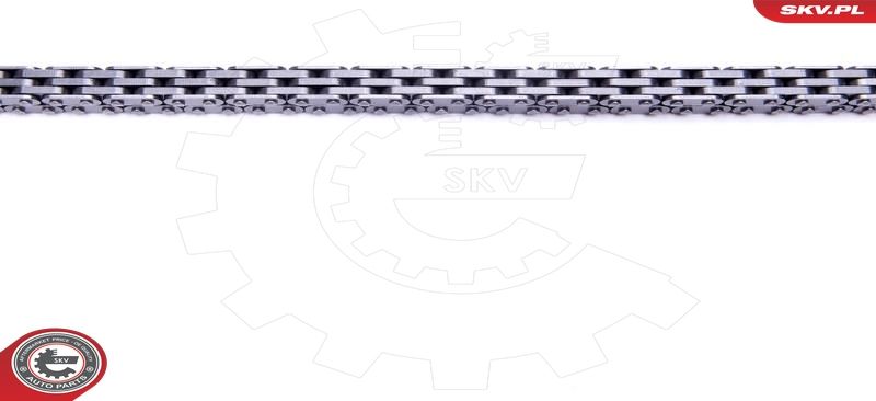 ESEN SKV 21SKV234 Timing Chain Kit