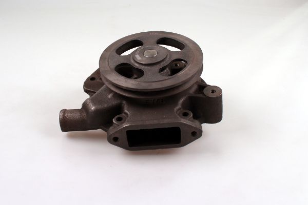 P9954.JPG