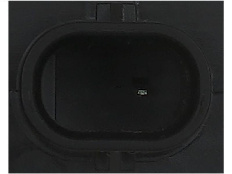 264141.JPG