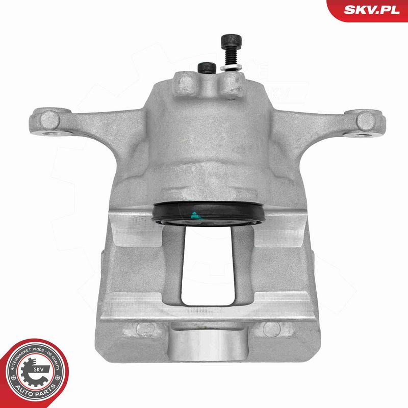 ESEN SKV 89SKV494 Brake Caliper
