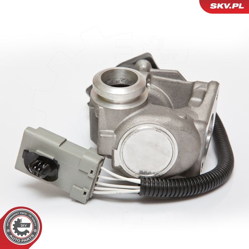 EGR-klapp, ESEN SKV 14SKV067
