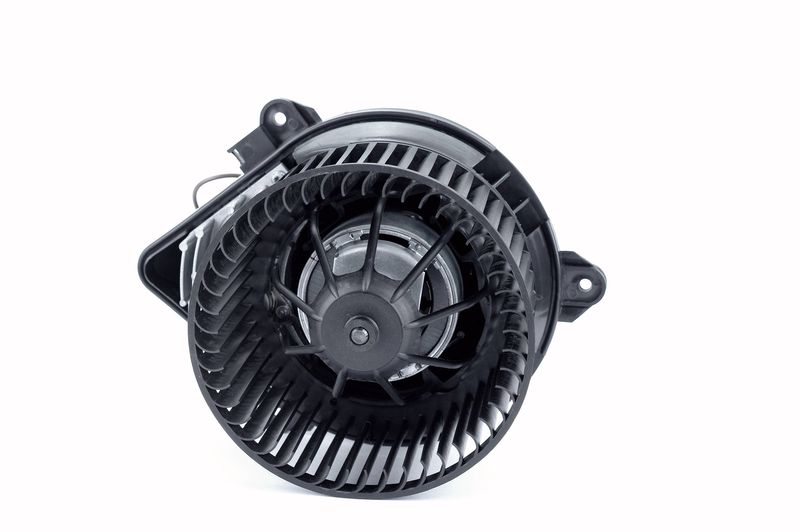 Salongipuhur, NISSENS 87050