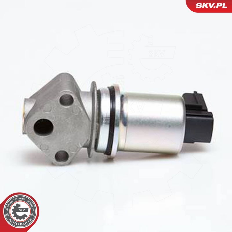 ESEN SKV 14SKV043 EGR Valve