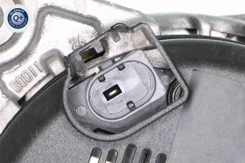 V10-13-50034_03.JPG