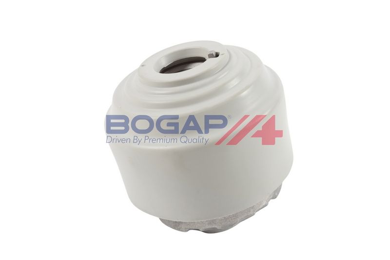 BOGAP Variklio montavimas