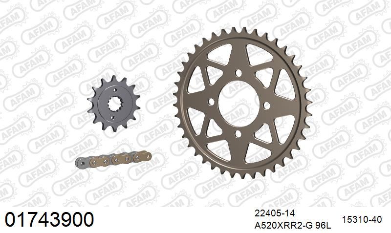 Dichtung, Wasserpumpe
