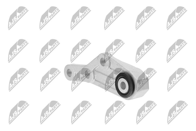 Paigutus, Mootor, NTY ZPS-CH-124