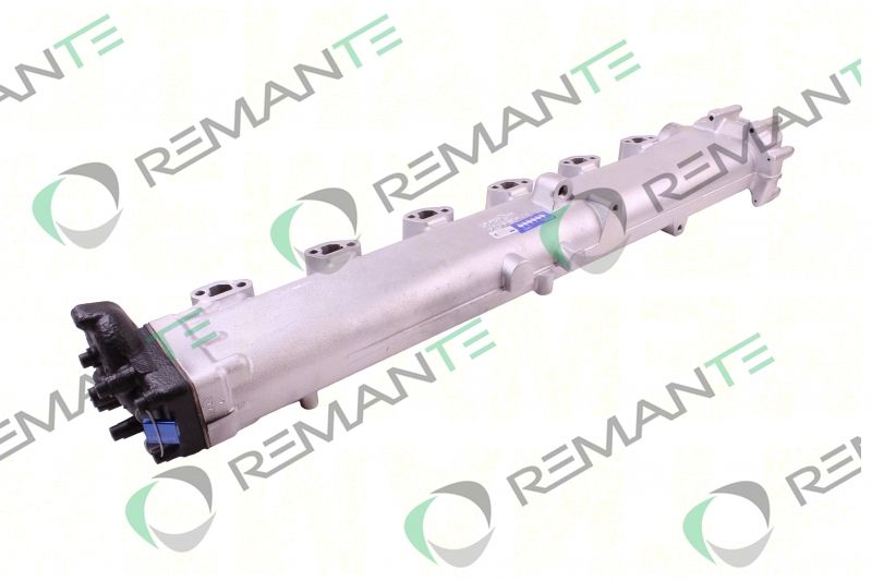 REMANTE 010-001-000006R EGR Module