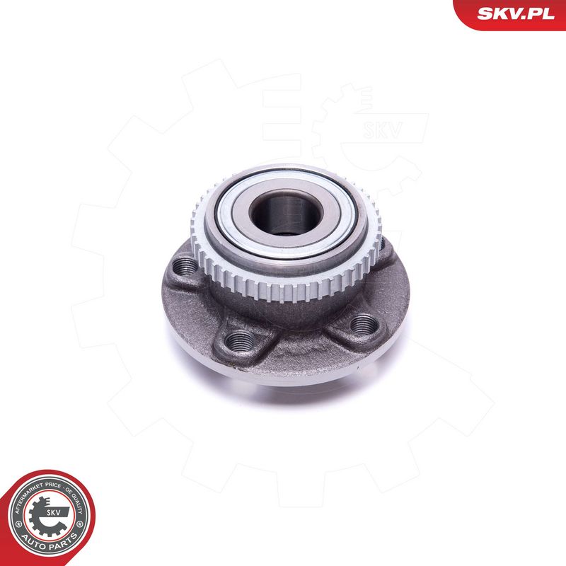 Rattalaagrikomplekt, ESEN SKV 29SKV538