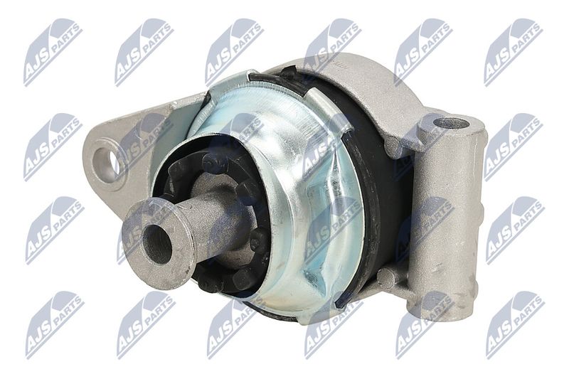 Paigutus, Mootor, NTY ZPS-PL-003