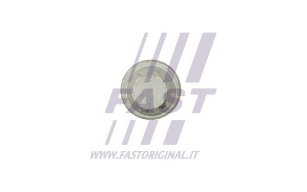 FT51652_3_1.JPG