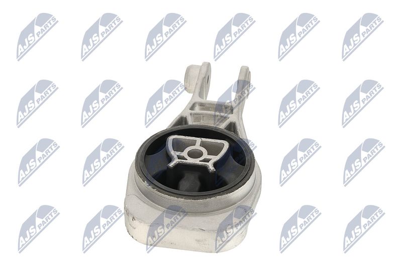 Paigutus, Mootor, NTY ZPS-PL-079