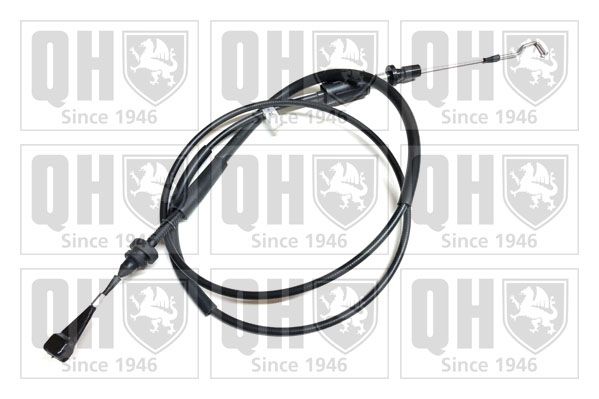 QH_QTC5064.JPG