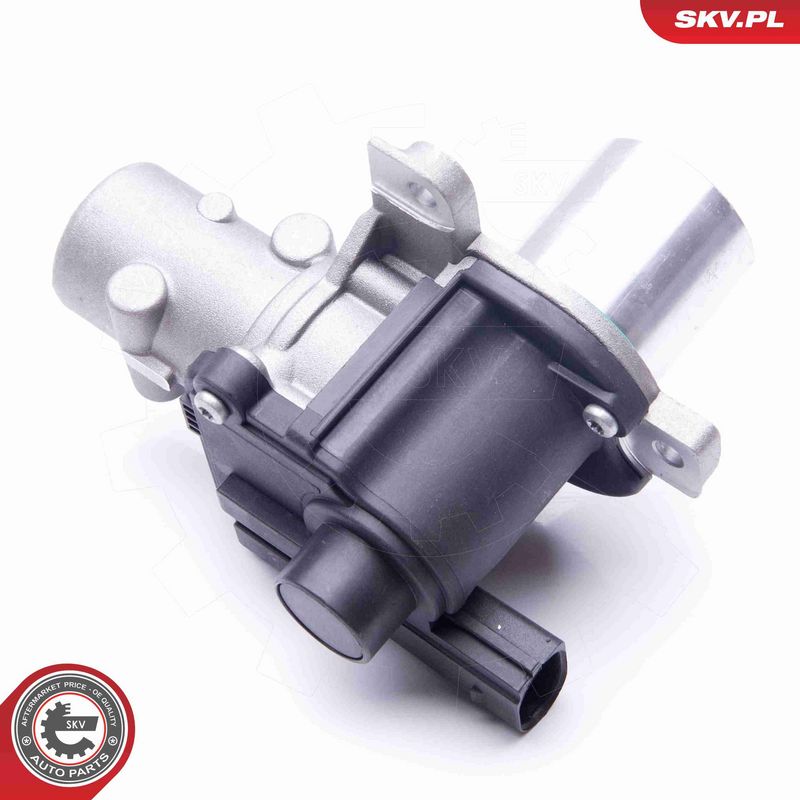 ESEN SKV 14SKV163 EGR Valve