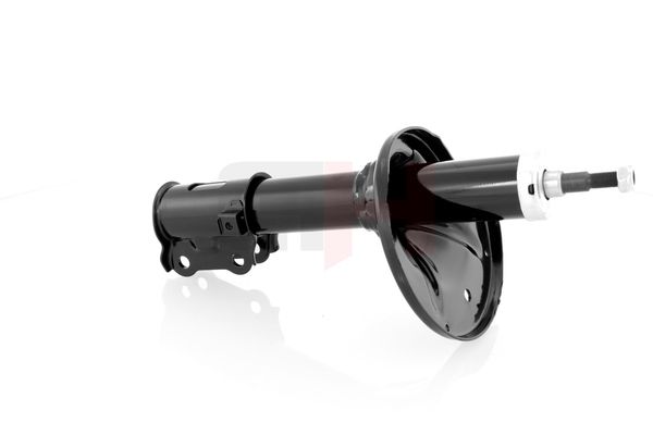 Amort, GH GH-323421H