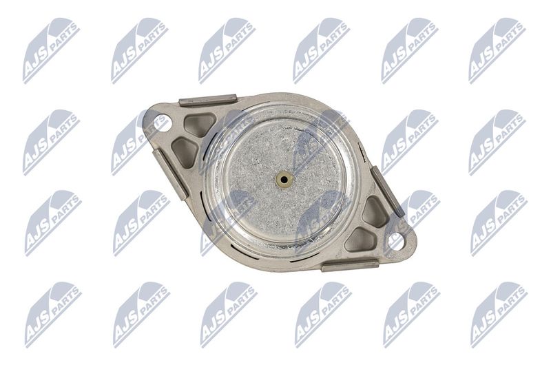 Paigutus, Mootor, NTY ZPS-LR-007