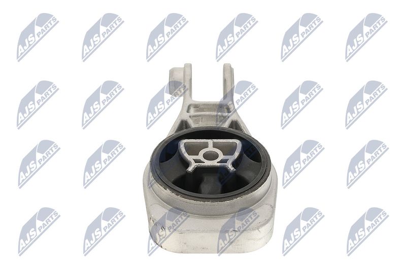 Paigutus, Mootor, NTY ZPS-PL-079