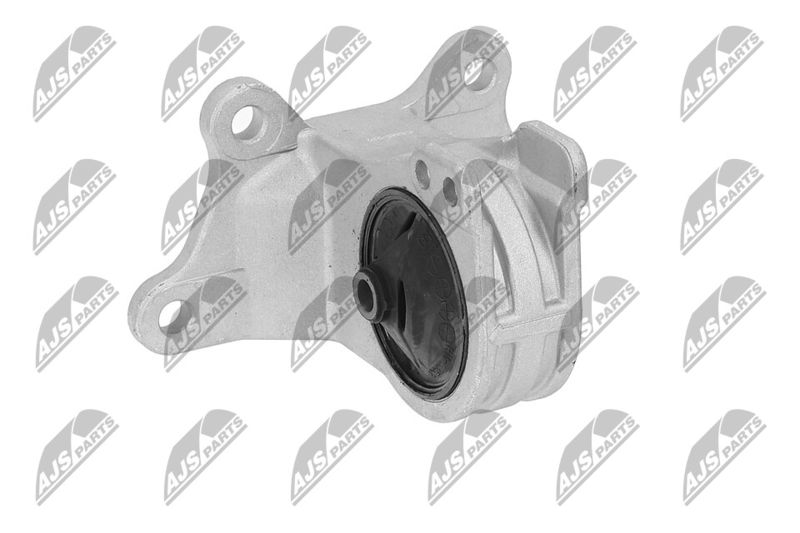 Paigutus, Mootor, NTY ZPS-MS-030
