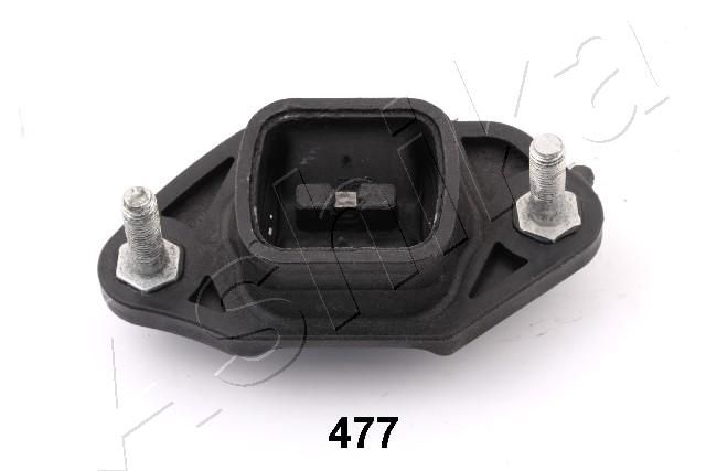 GOM-477_1.JPG