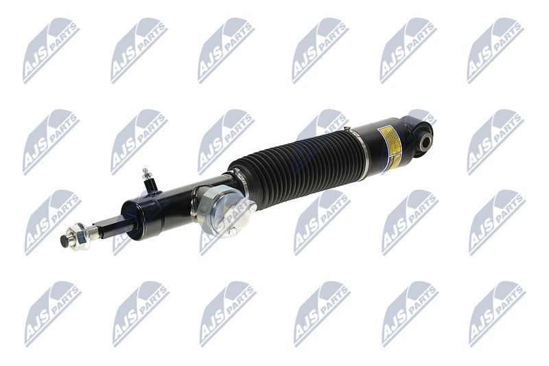 Amort, NTY A-NS-055