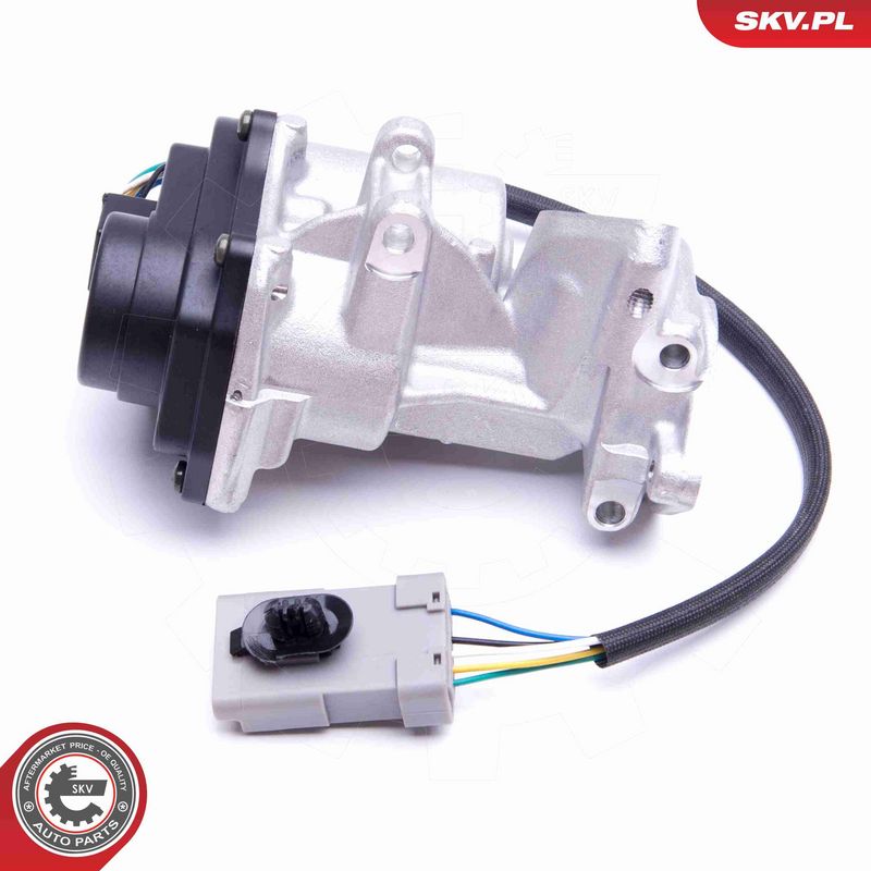 ESEN SKV 14SKV216 EGR Valve